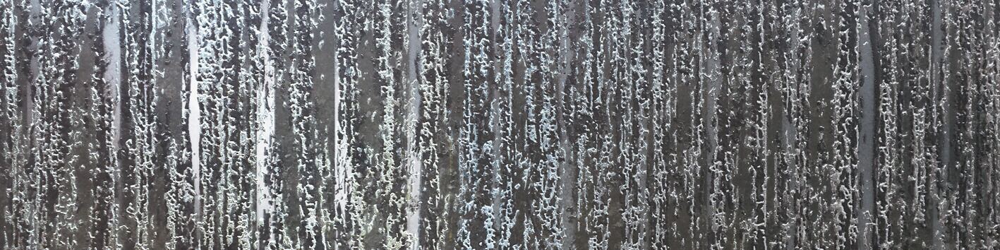 FSZ  Dekor anthrazit 30/120/1,11 R9 Au