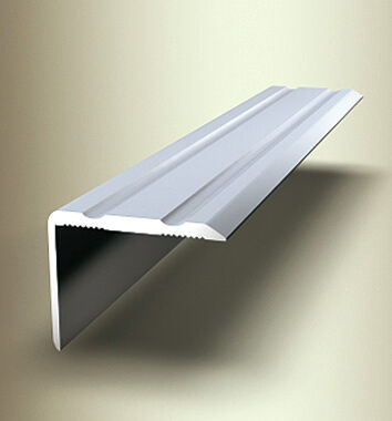 Typ 235 SK Winkelprofil 1,00m F4 Alumi