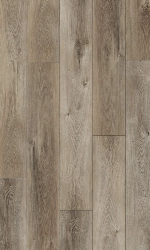 LVT Kleben 2002 Roteiche 0,3 mm NS, NK