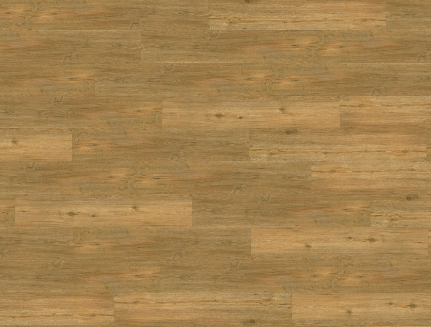 LVT Kleben 2039 Eiche Müggelsee LHD